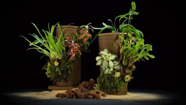 Cretaviva Triptych Kit - Image 3